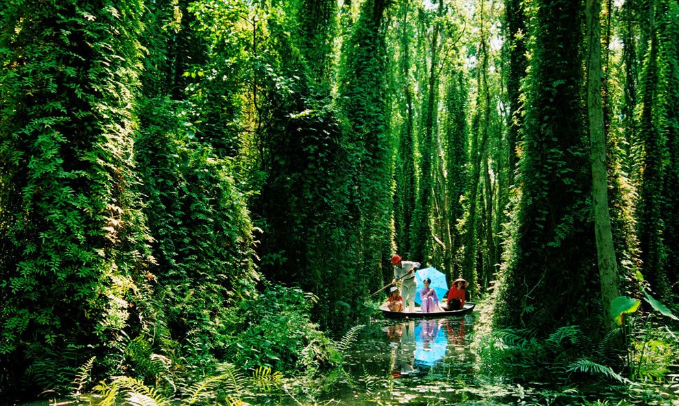 RỪNG PHƯƠNG NAM (Bài đọc hiểu tiếng Việt lớp 5 - đề số 13)